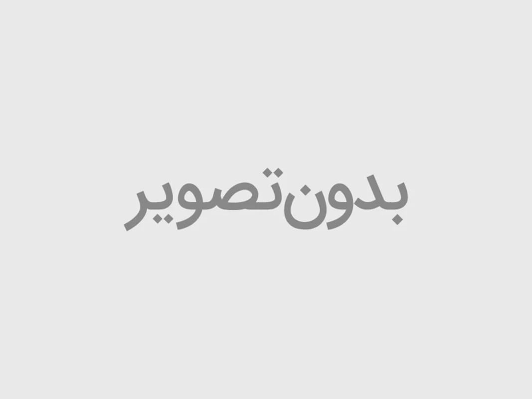 آنتافیت(محرک رشد مخروط در دان)