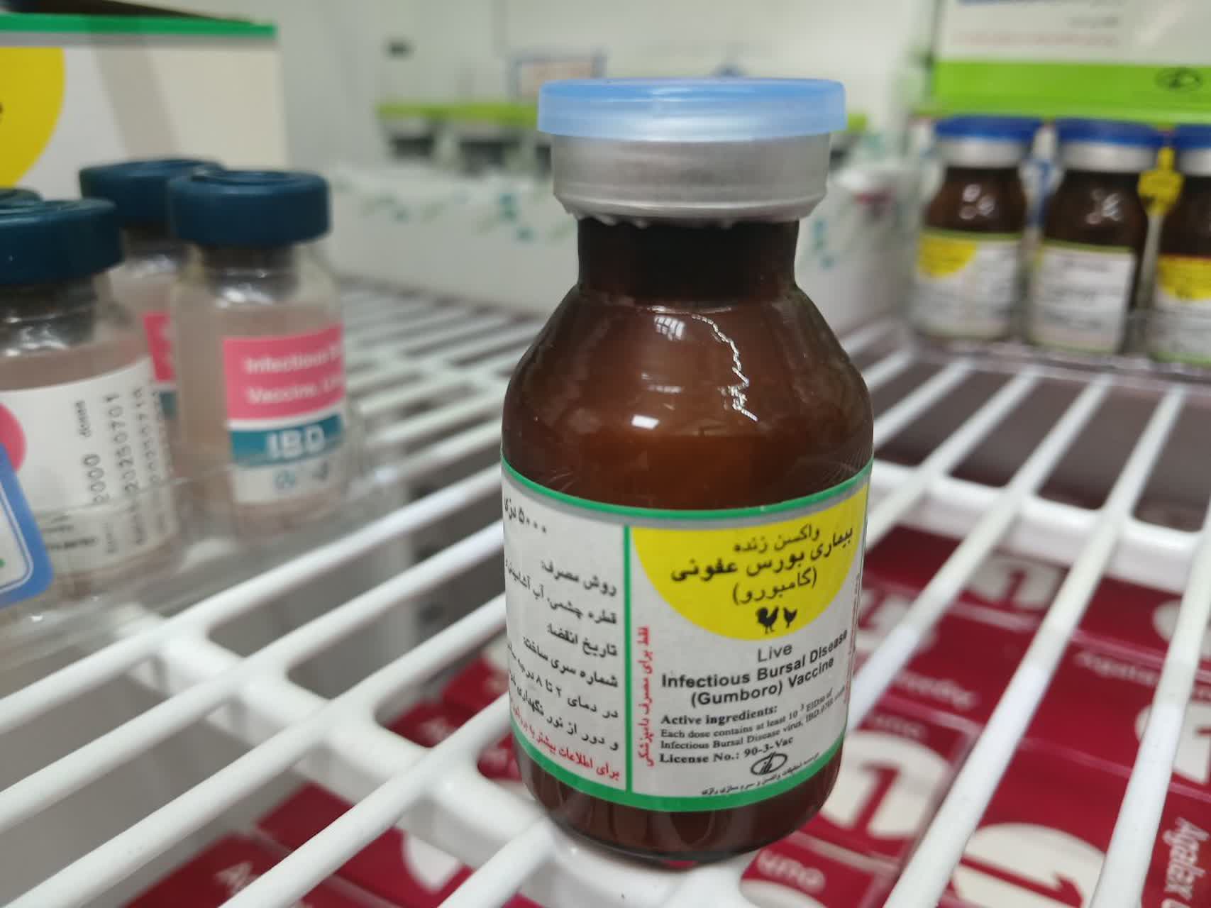 گامبرو رازي 5000 دزي