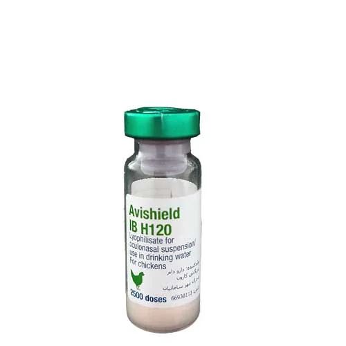 برونشیت h120  وترینا ۲۵۰۰ دزی