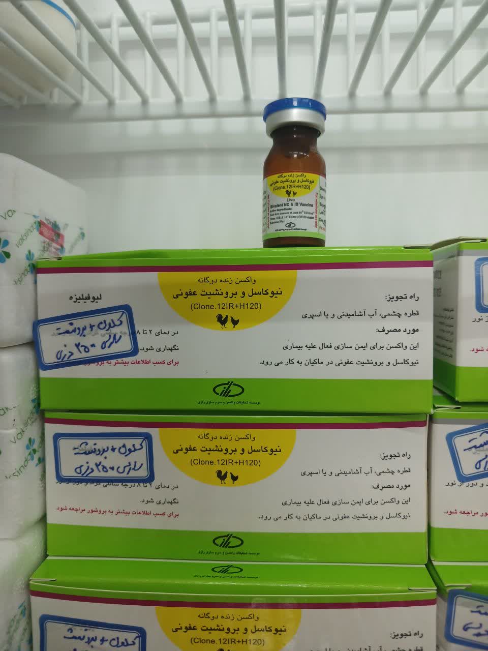 دوگانه کلون + برونشیت رازی 2500 دزی