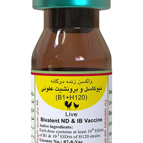واکسن b1+h120 رازی ۲۵۰۰ دزی