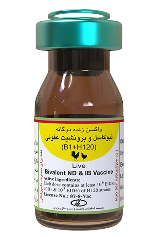 واکسن b1+h120 رازی ۲۵۰۰ دزی