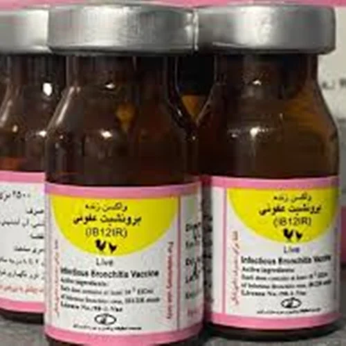 واکسن برونشیت ۴.۹۱(IB12IR)