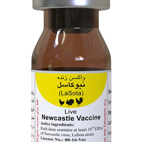 لاسوتا رازی